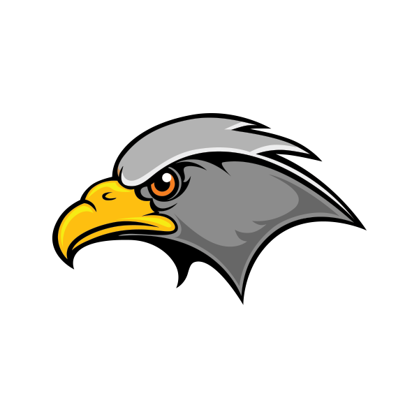 600x600 Printed Vinyl Hawk Head Stickers Factory