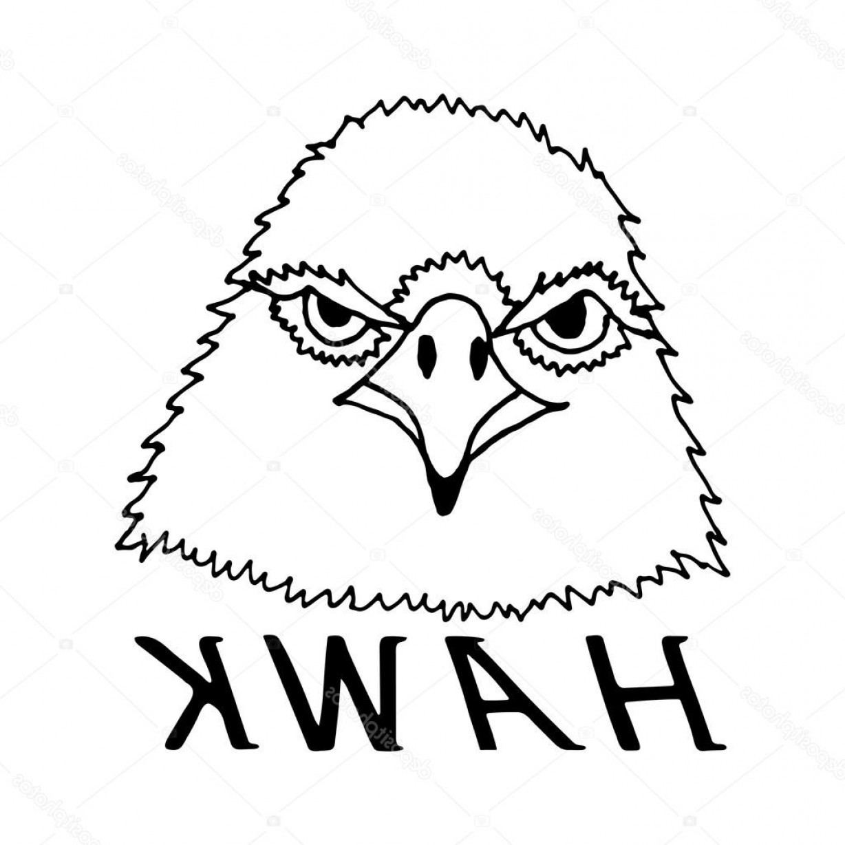 1228x1228 stock illustration hand draw hawk head geekchicpro