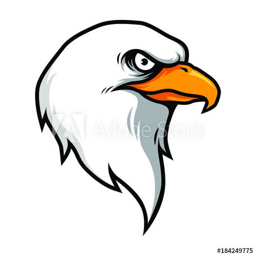 500x500 American Eagle Hawk Head Vector