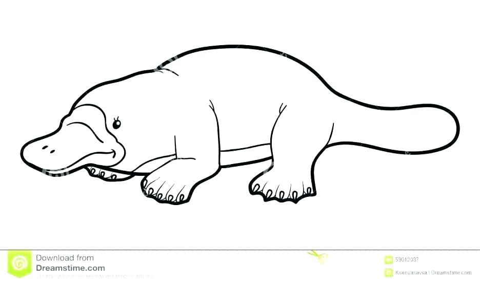 936x552 Perry The Platypus Drawing Image Titled Tail Step Perry