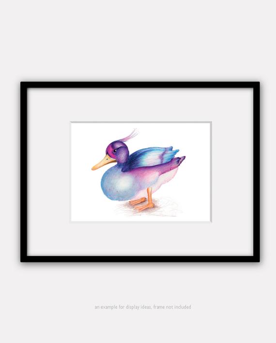 570x707 The Duck Watercolour Pencil Drawing X Inch Print Etsy
