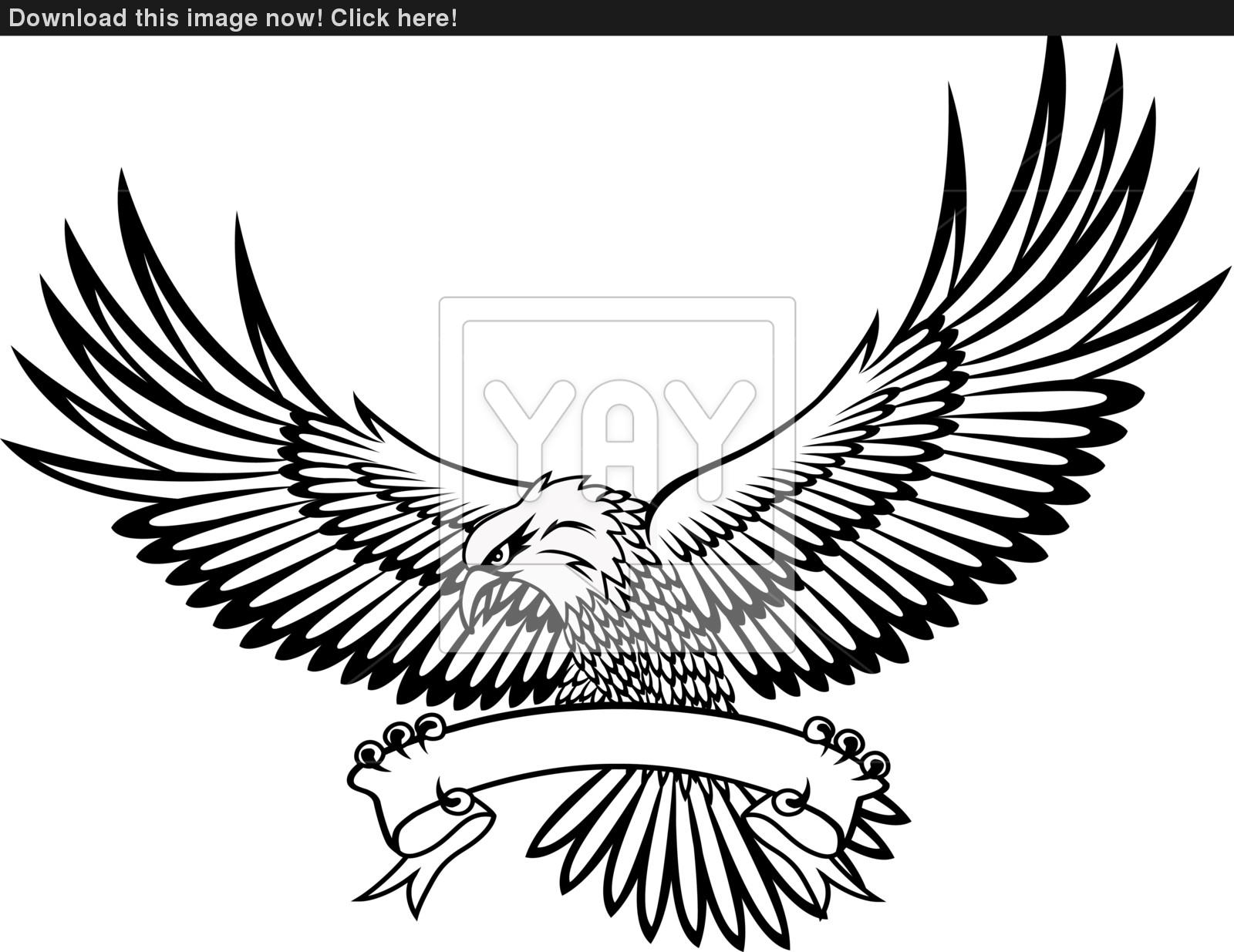 Hawk Wings Drawing