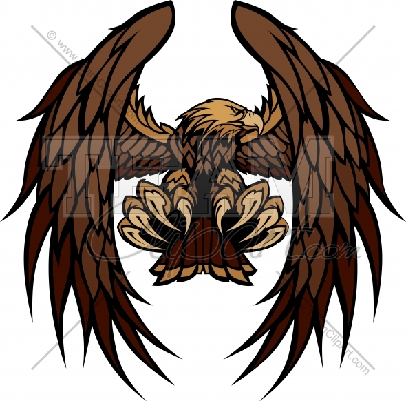 590x582 Hawk Wings Clipart