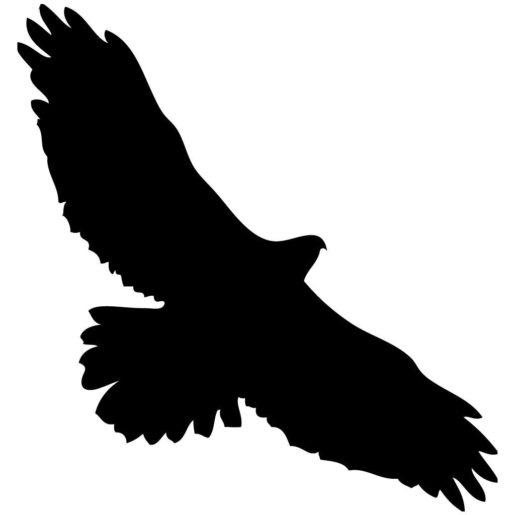 1024x1024 Hawk Wings Transparent Png Clipart Free Download