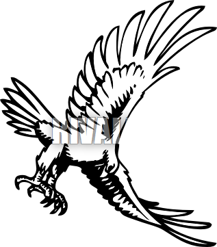 317x361 Hawk With Wings Out