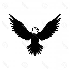 300x300 Top Eagle Hawk Bird Wings Animal Insignia Emblem Vector