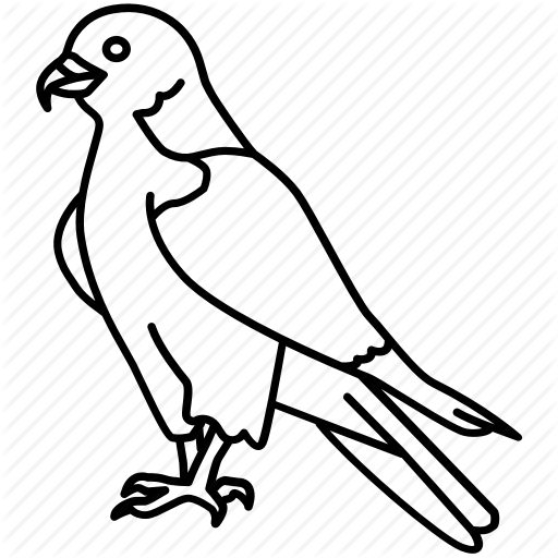 512x512 vector hawks peregrine falcon transparent png clipart free