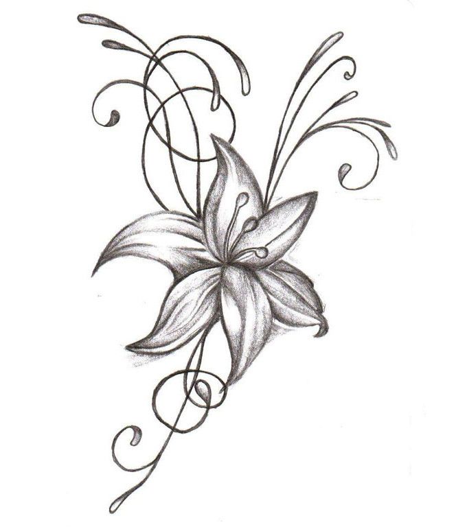 Hawthorn Flower Drawing | Free download on ClipArtMag