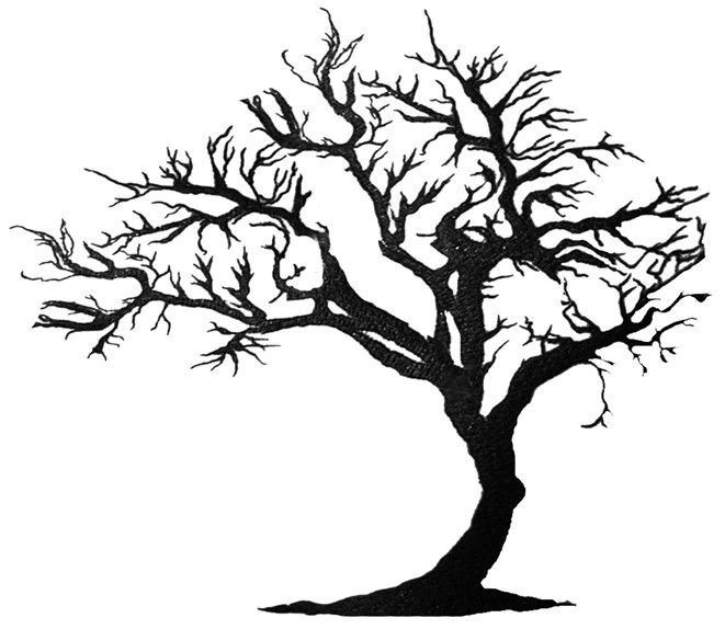 661x574 Hawthorn Tree Tattoo