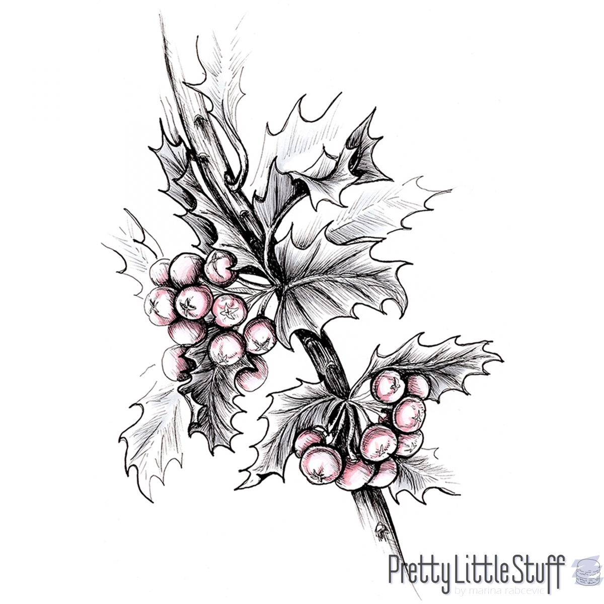 Hawthorn Flower Drawing | Free download on ClipArtMag