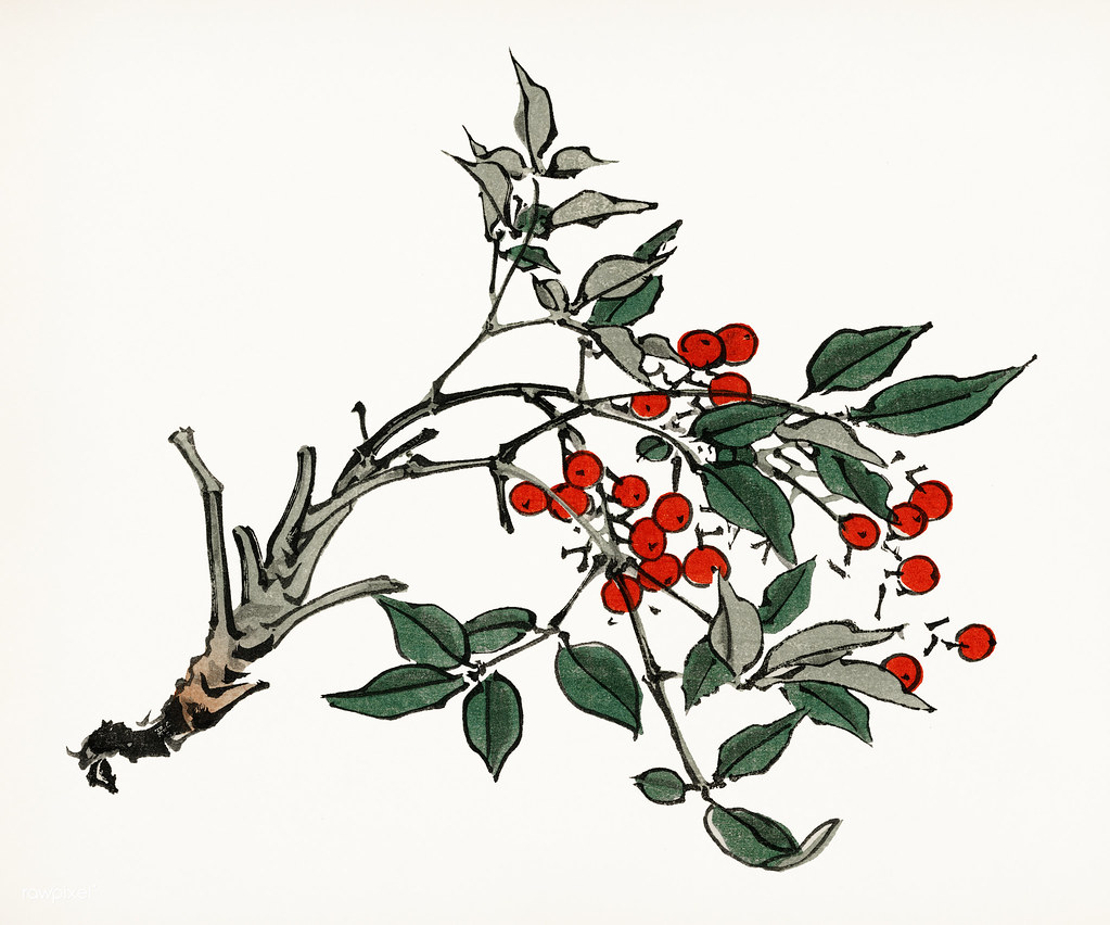 Hawthorn Flower Drawing | Free download on ClipArtMag