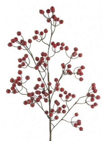 Hawthorn Flower Drawing | Free download on ClipArtMag