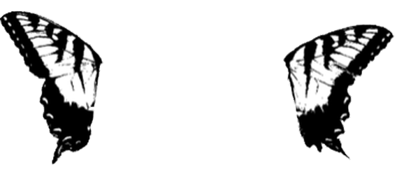 568x250 Band Blog, Bands, Brand New Eyes Sticker Gif Find, Make Share