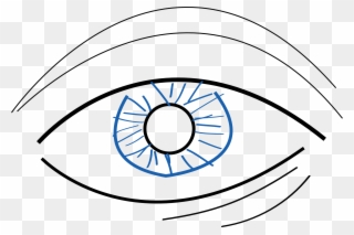 320x213 Free Png Eyes Clip Art Download