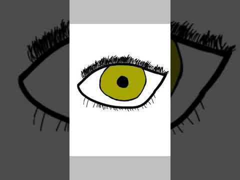 480x360 Hazel Eye