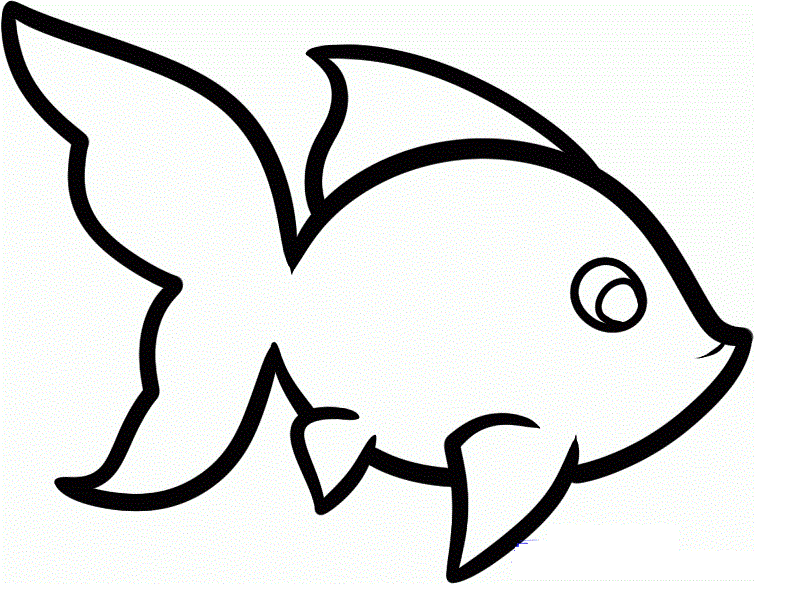786x615 Beautiful Hd Wallpapers U Free Download Cute Best Fish Drawing