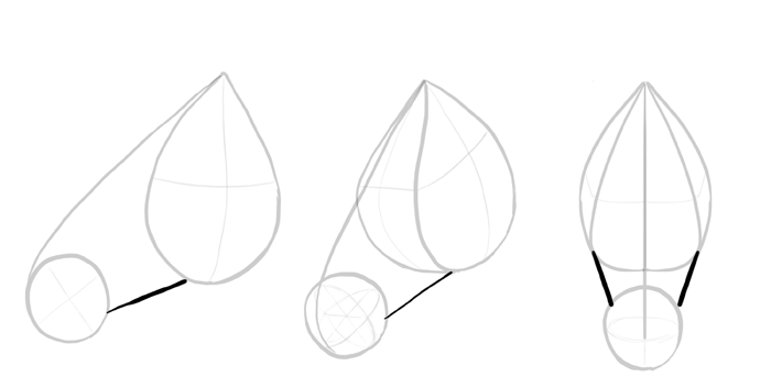 700x353 How To Draw Horses Step