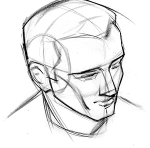 300x296 How To Draw The Head From Extreme Angles Proko