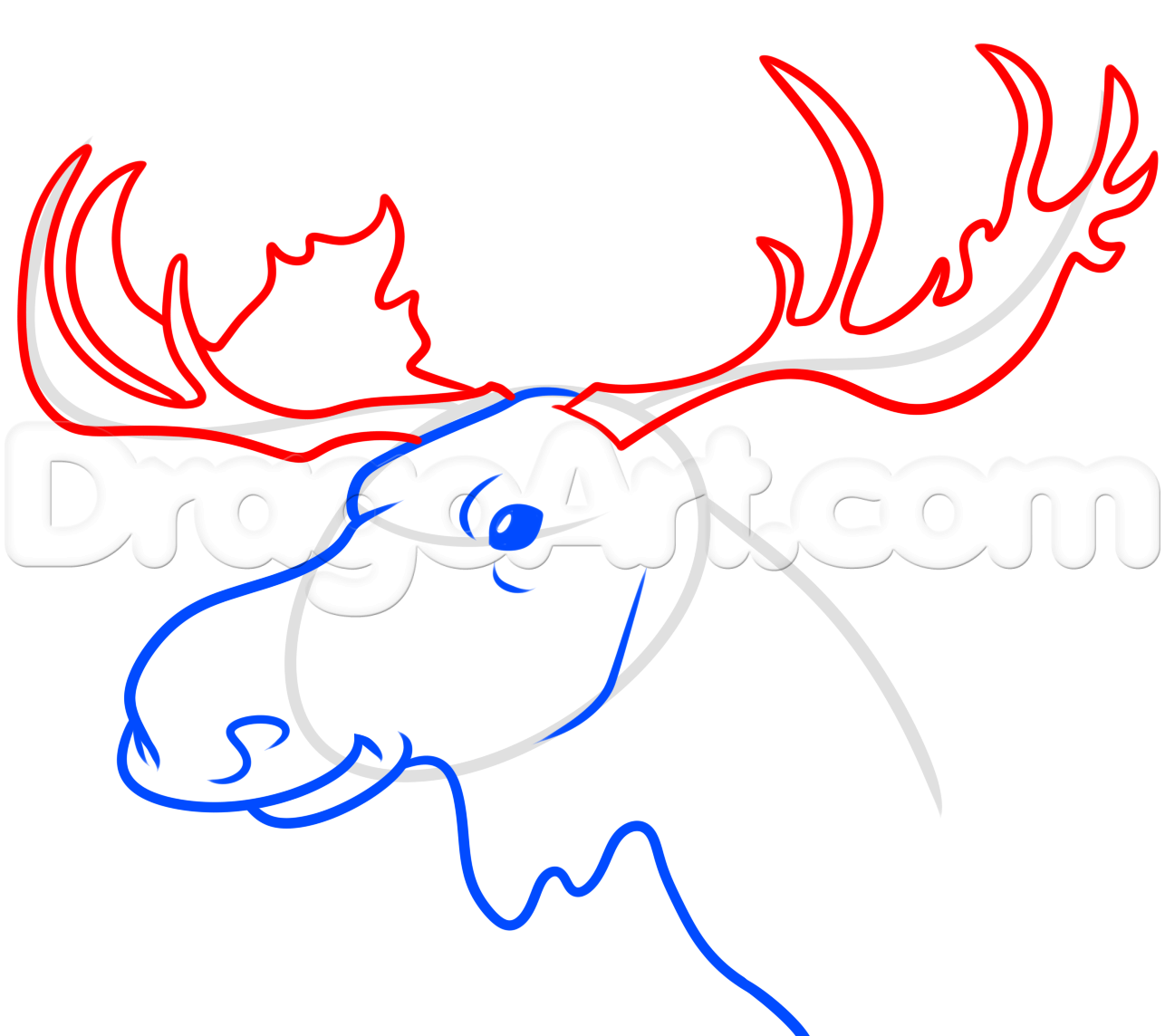 1286x1144 Moose Head Drawing Tutorial, Step