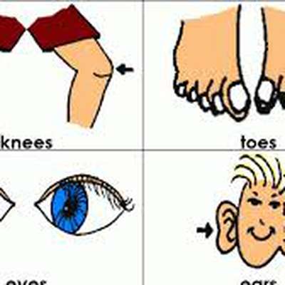 400x400 Head, Shoulders, Knees And Toes