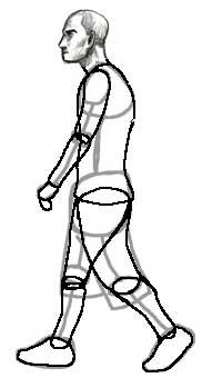182x340 How To Draw The Human Figure