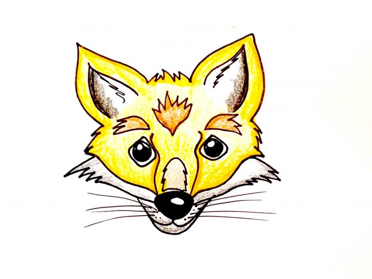 728x546 Fox Drawing Reference Simple Head Easy Of A Red I Fertility