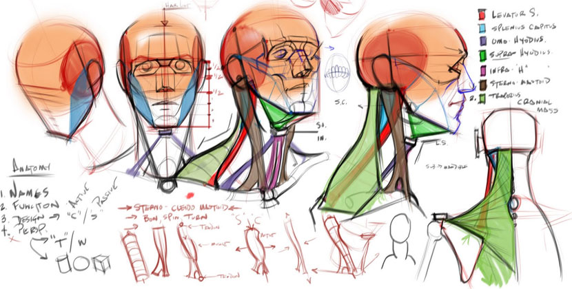 830x420 Draw The Foot Urbanrockwell's Blog