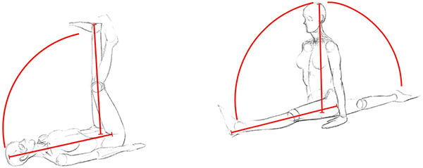 600x239 Upper And Lower Body Brackets