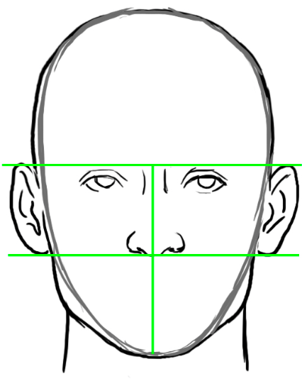 426x537 Draw A Realistic Head Bring Faces To Life Dibujo