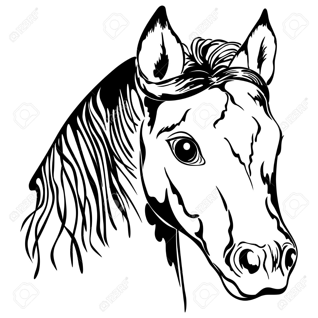 1300x1300 Huge Collection Of 'horse Head Drawing Outline' Download More