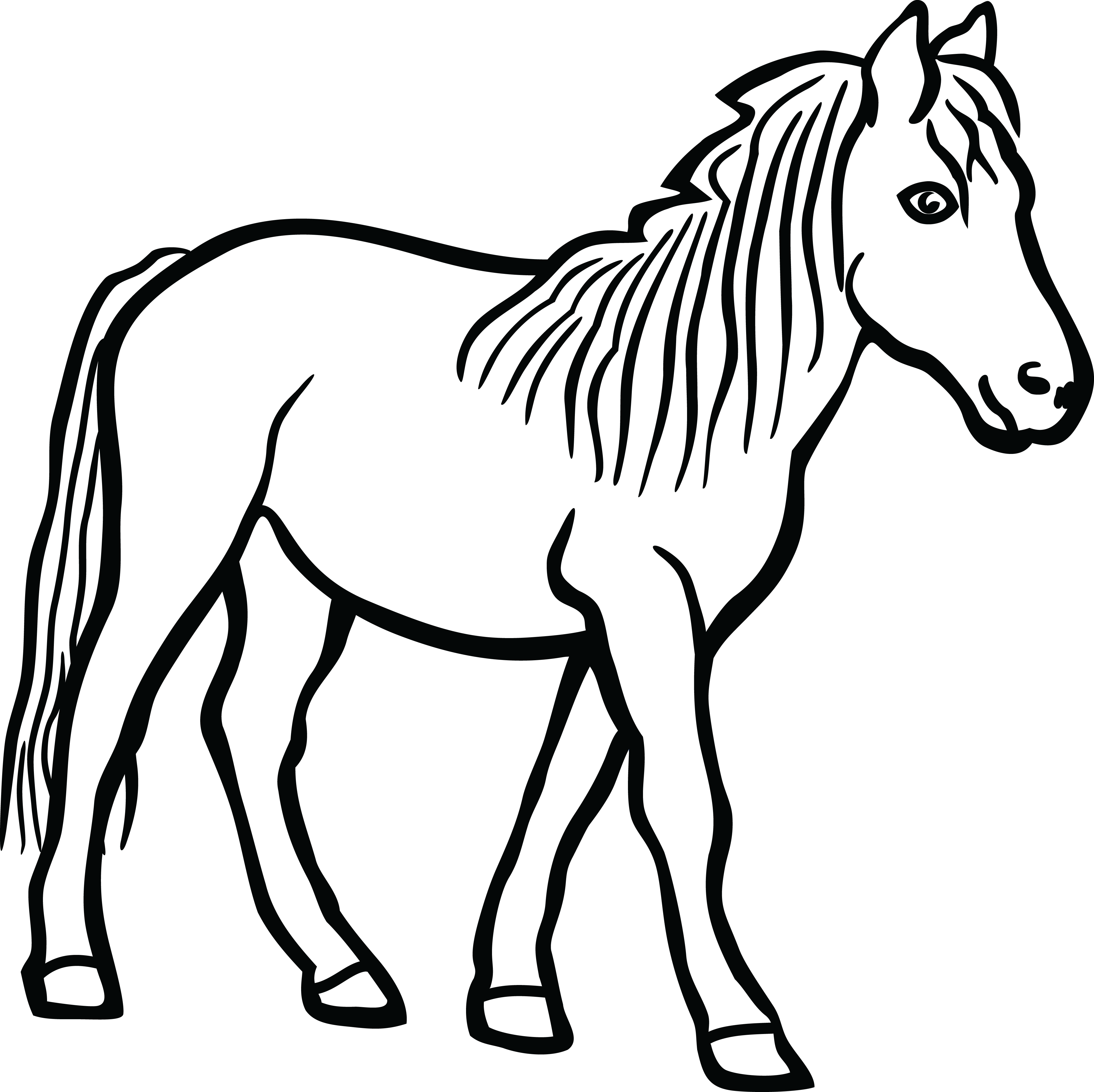 4000x3991 Unique Horse Head Quarter Horse Clipart Clipartix Inspiration