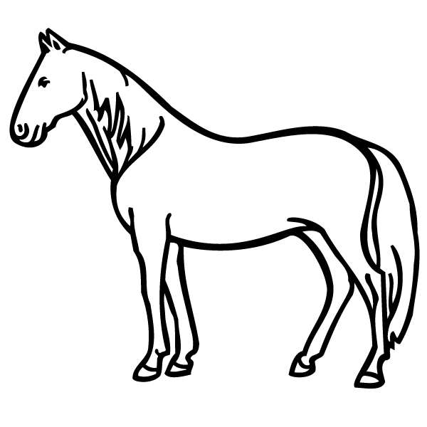 600x600 Drawing, Horse, Head, Transparent Png Image Clipart Free Download
