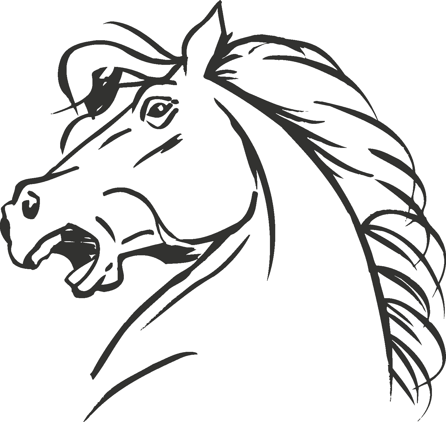 1520x1438 Collection Of Free Drawing Horse Head Download On Ui Ex