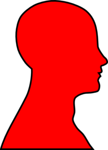 216x300 Head Line Drawing