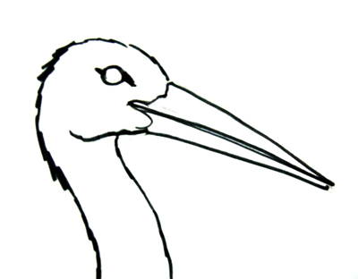 400x312 How To Draw A Stork