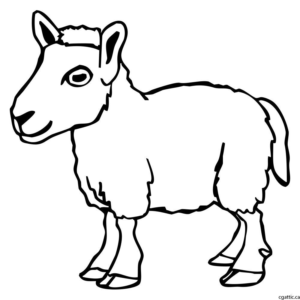 1000x1000 Sheep Cartoon Drawing In Steps With Photoshop