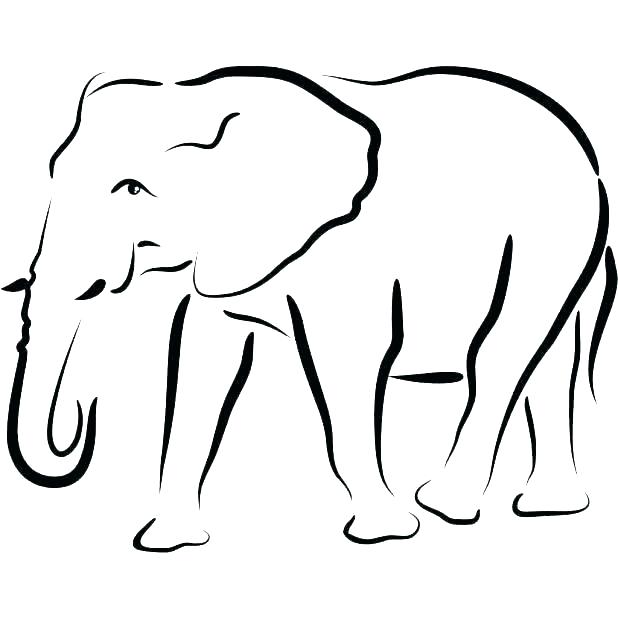 618x618 Outline Of An Elephant