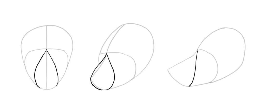 1000x416 How To Draw A Wolf Head And Shoulders, Knees And Paws