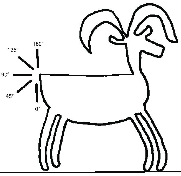 697x680 Was Fig Illustration Of Varying Angles Of Sheep Tail