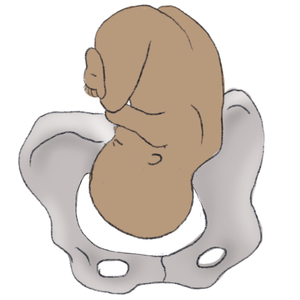 1024x1024 Baby Positions