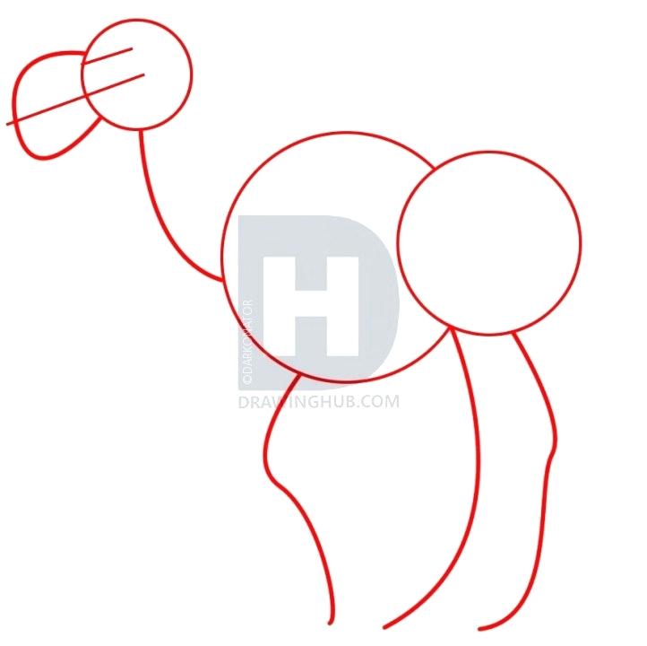 722x720 how to draw a camel head draw camel draw camel head