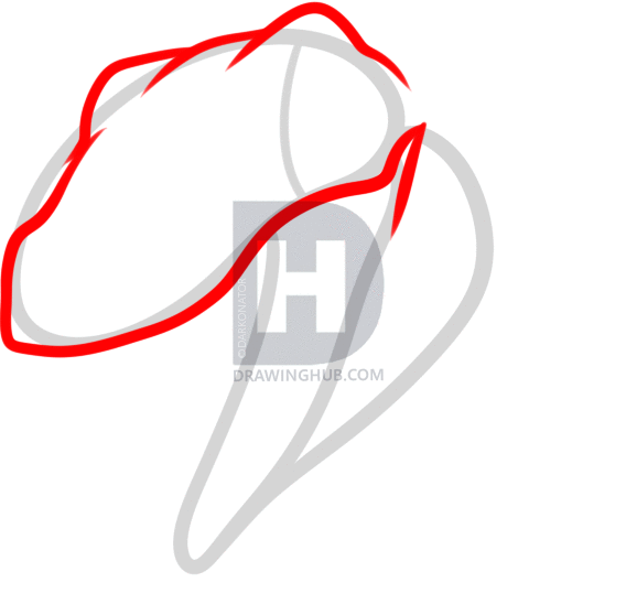 568x548 How To Draw A Raptor Head, Step