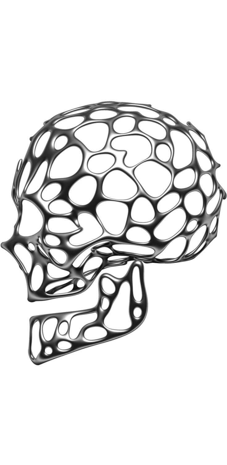 735x1500 Skull Model Skulldecorhumanstructureanatomybones