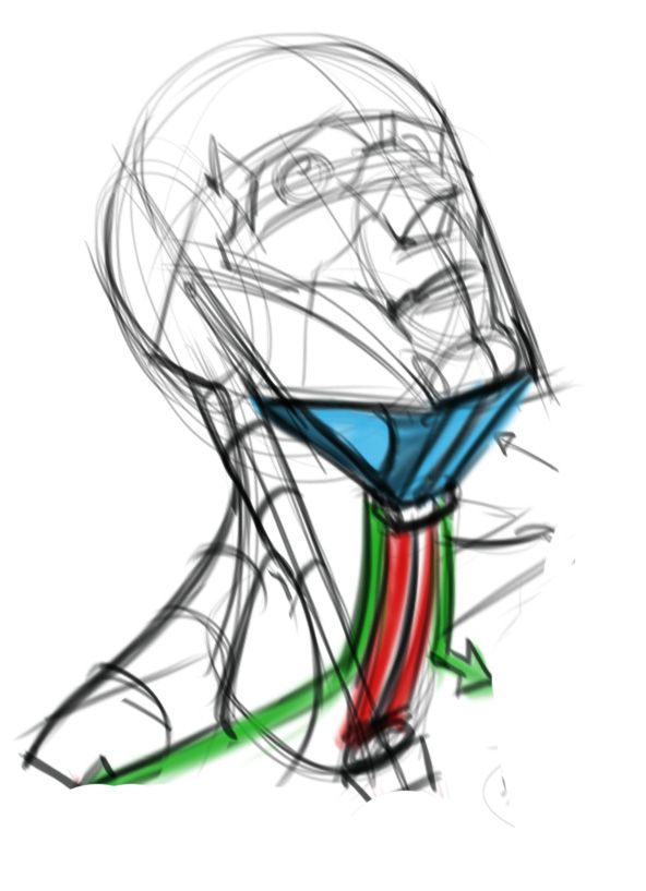 592x817 Drawing Ideas In Anatomy Drawing