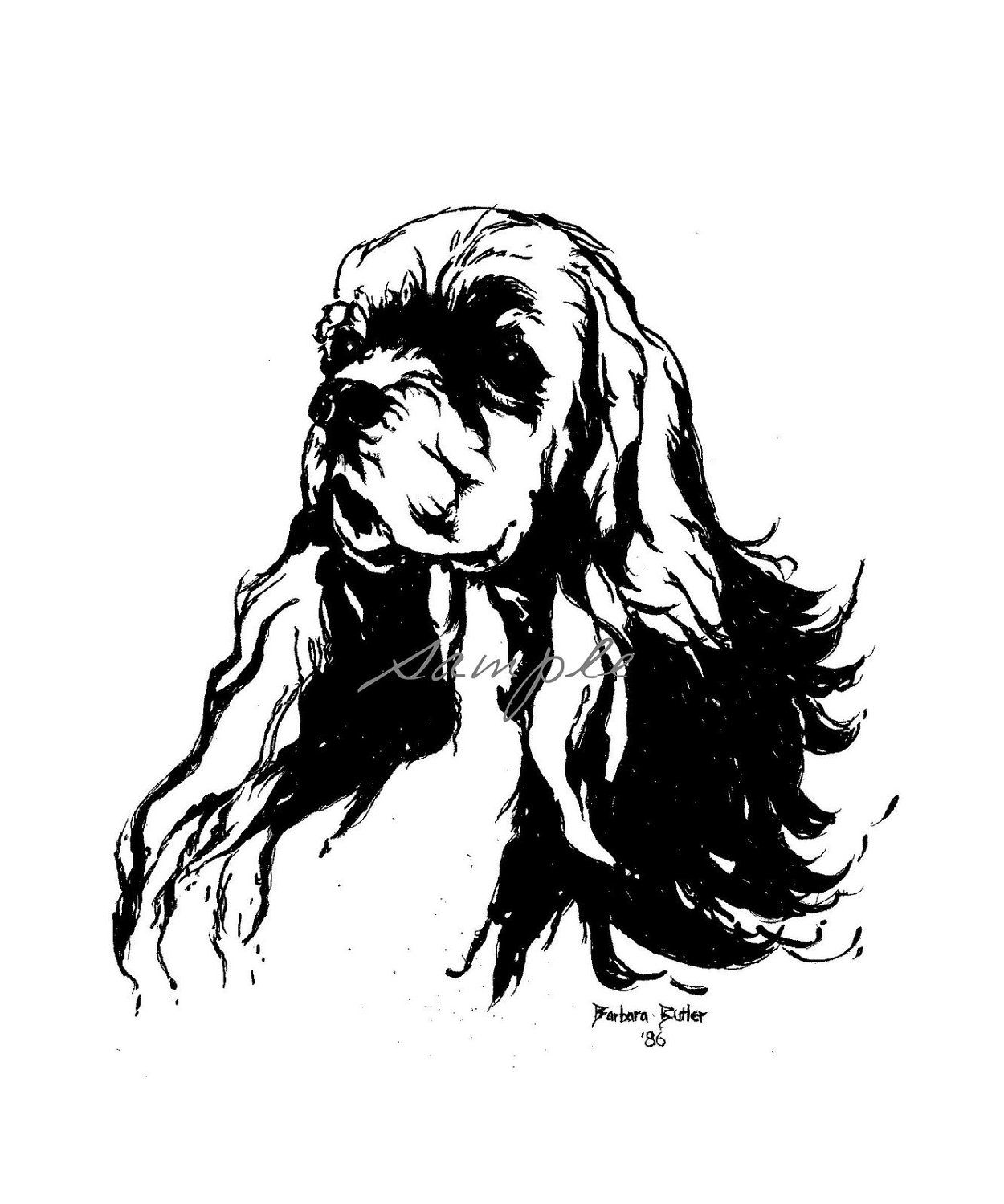 1250x1500 Cocker Spaniel Original Ink Drawing Head Study Show Quality