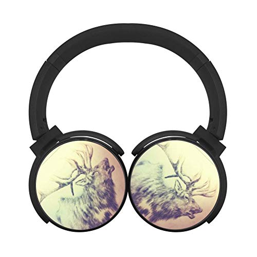 500x500 fawn on drawing paper new practical