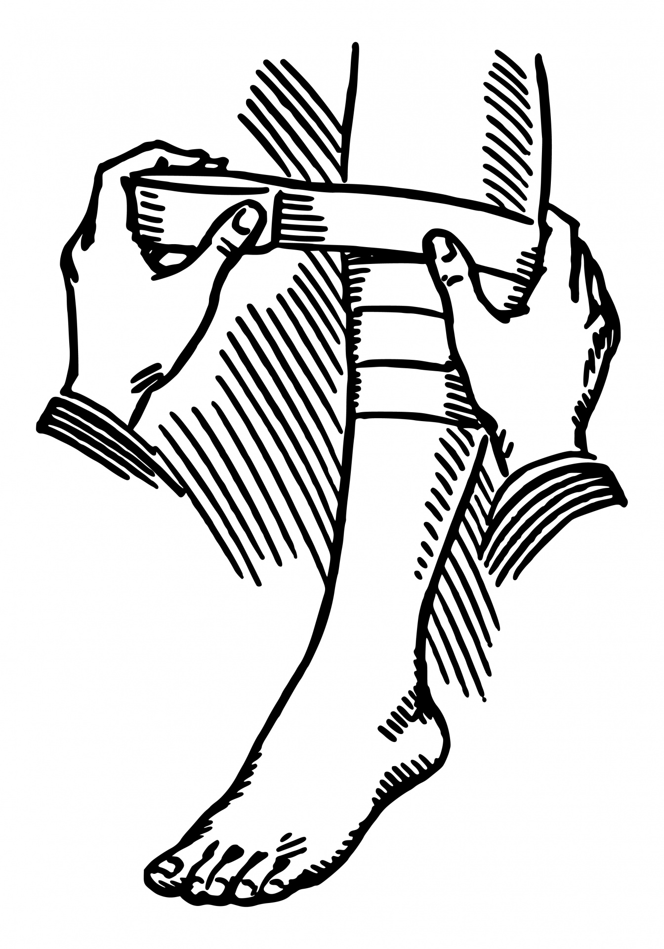 1344x1920 how your body heals itself after a wound