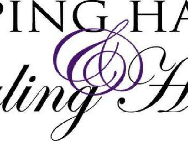 600x450 Mar Helping Hands Healing Hearts Luncheon Gilroy, Ca Patch