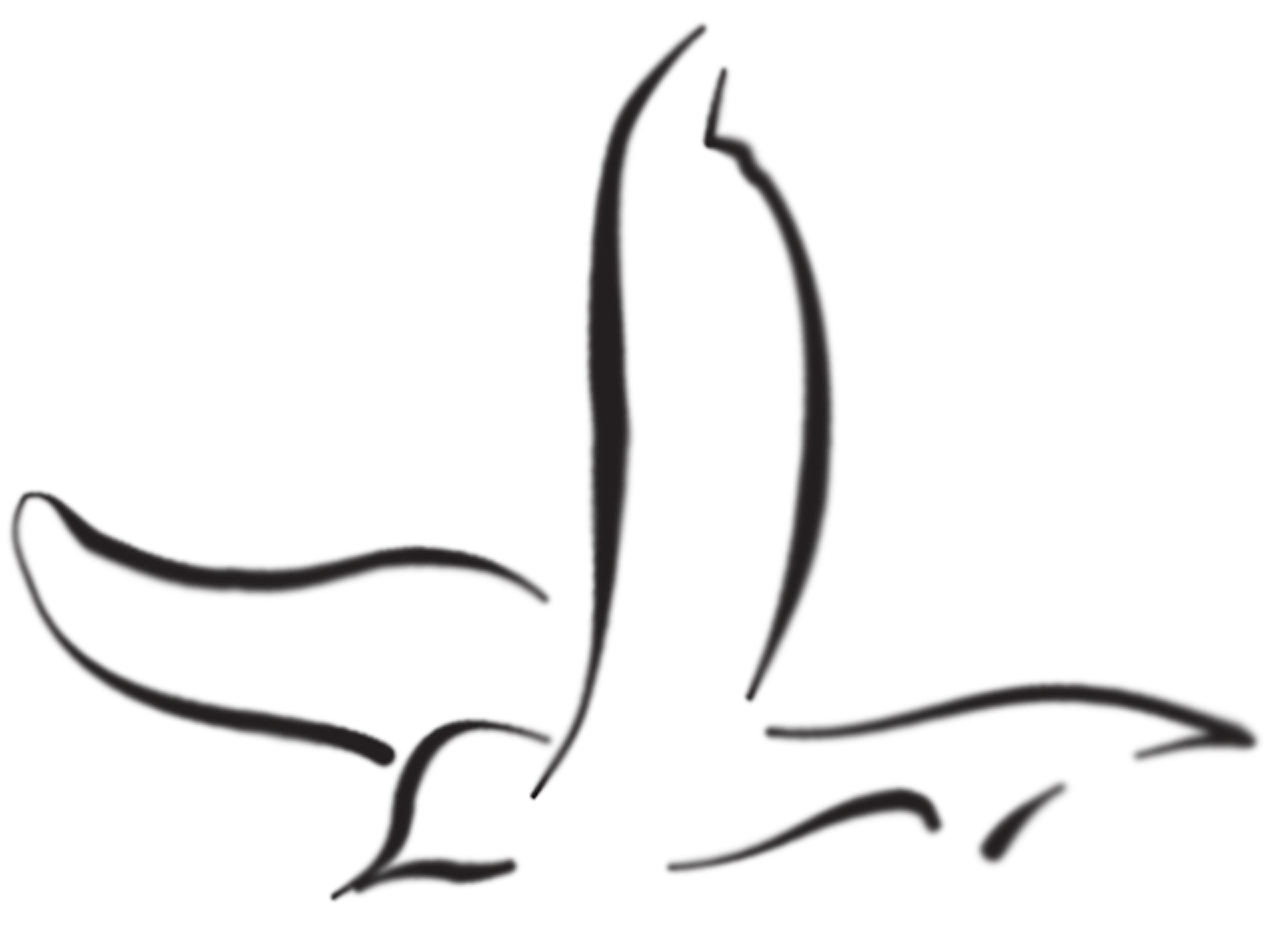 1280x940 with healing hands massage therapy sarasota fl massage therapy