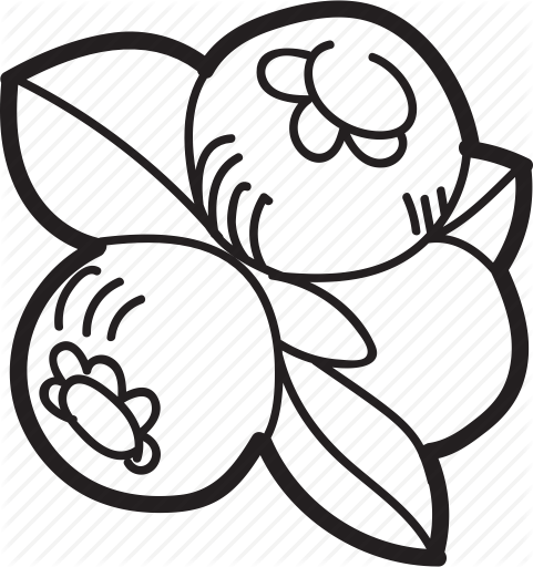 481x512 Drawing, White, Black, Transparent Png Image Clipart Free Download